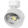 Светильник накладной LIGHTSTAR ALTA PRO A5746SO