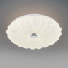 Светильник настенно-потолочный LIGHTSTAR ARCO SHELL 225650