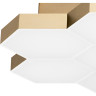 Светильник потолочный LIGHTSTAR FAVO 750073